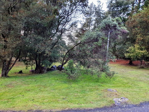 Roland B&B - Accommodation Port Macquarie 20