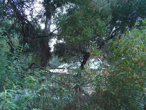 Roland B&B - Accommodation Port Macquarie 44