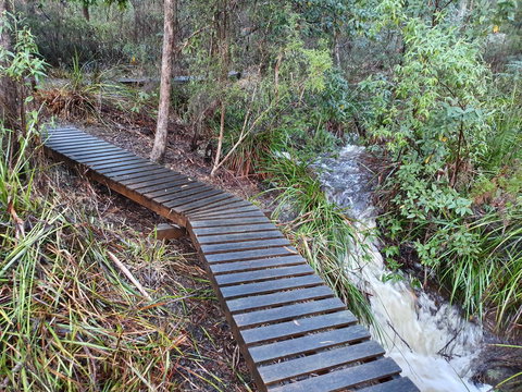 Roland B&B - Accommodation Port Macquarie 28