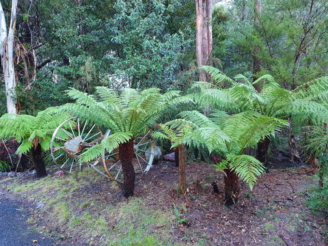 Roland B&B - Accommodation Port Macquarie 33