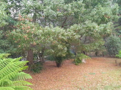 Roland B&B - Accommodation Port Macquarie 40