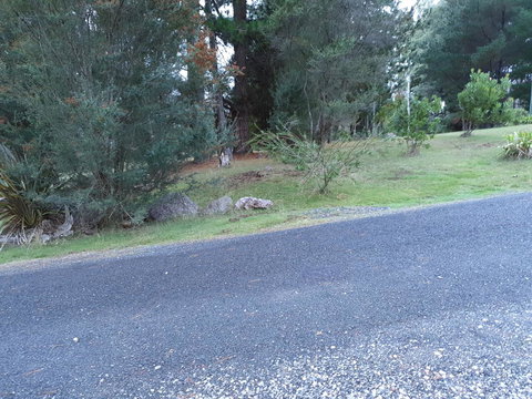 Roland B&B - Accommodation Port Macquarie 24