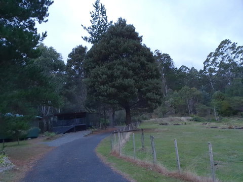 Roland B&B - Accommodation Port Macquarie 25