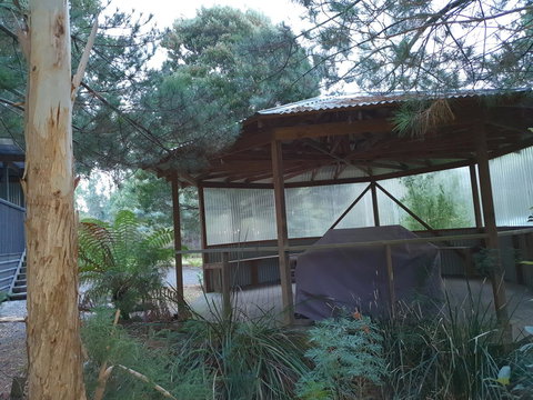 Roland B&B - Accommodation Port Macquarie 18