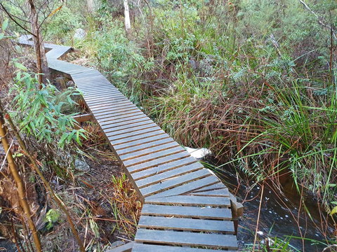 Roland B&B - Accommodation Port Macquarie 34