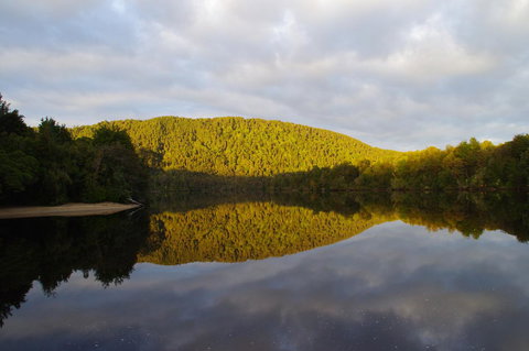 The Crays Accommodation - Accommodation Port Macquarie 40