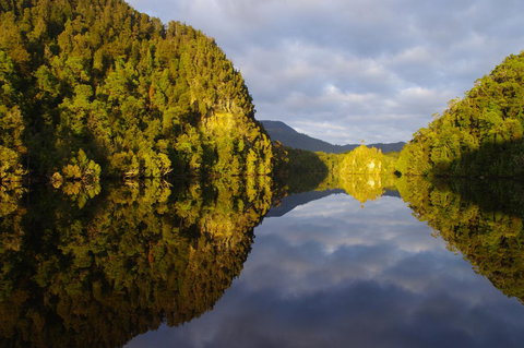 The Crays Accommodation - Accommodation Port Macquarie 39