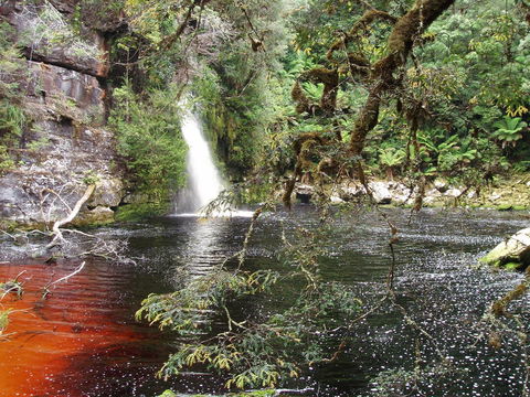The Crays Accommodation - Accommodation Port Macquarie 38