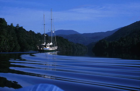 The Crays Accommodation - Accommodation Port Macquarie 36