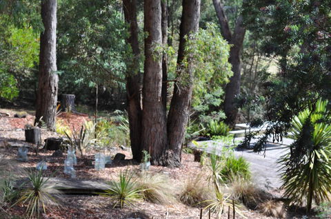 Oyster Cove Chalet - Accommodation Port Macquarie 26