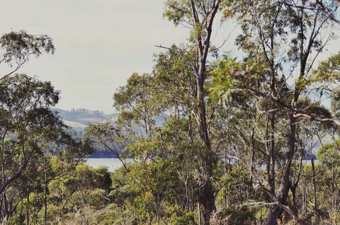 Oyster Cove Chalet - Accommodation Port Macquarie 17