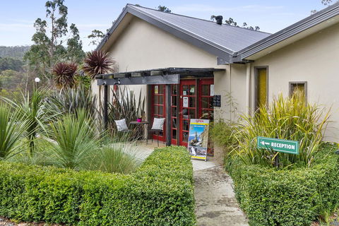 Oyster Cove Chalet - Accommodation Port Macquarie 13