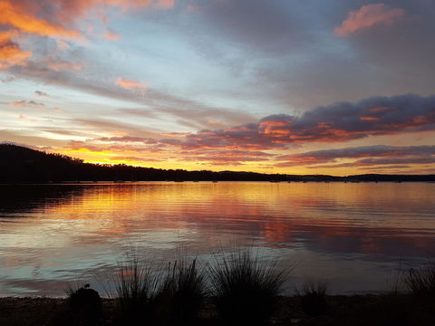 Oyster Cove Chalet - Accommodation Port Macquarie 10