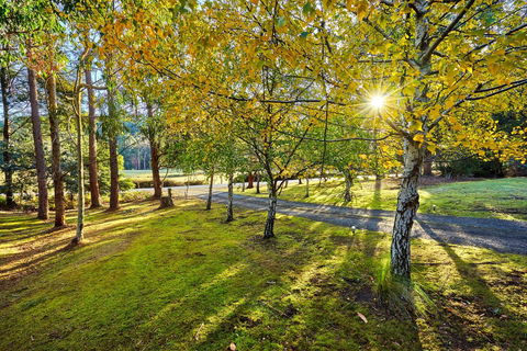 Oyster Cove Chalet - Accommodation Port Macquarie 1