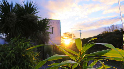 New Norfolk Junction Motel - Accommodation Port Macquarie 31