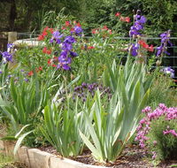 Karoola Cottage Self Contained - Accommodation Port Macquarie