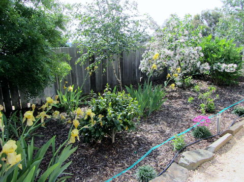 Elm Trees Accommodation @ Ross - Accommodation Port Macquarie 6