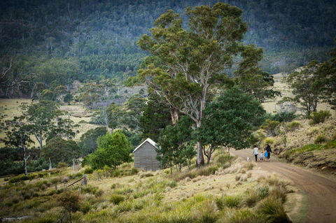 Twamley Farm - Accommodation Port Macquarie 16