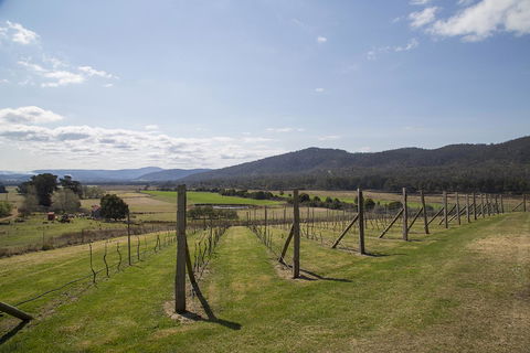 Twamley Farm - Accommodation Port Macquarie 7