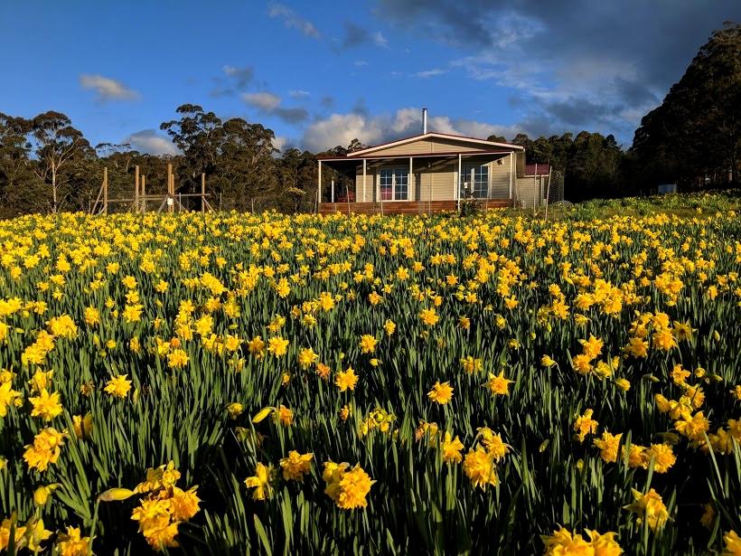 Golden Valley TAS Accommodation Port Macquarie