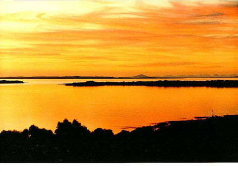 Island View Spa Cottage - Accommodation Port Macquarie 9