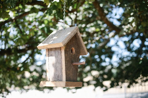 Old White Church Bed & Breakfast - Accommodation Port Macquarie 31