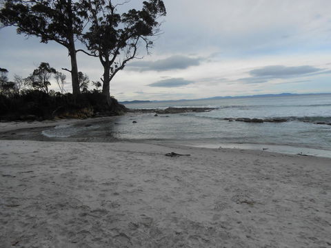 Bruny Ocean Cottage - Accommodation Port Macquarie 7
