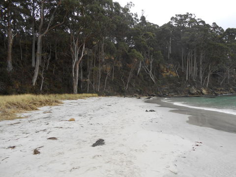 Bruny Ocean Cottage - Accommodation Port Macquarie 12