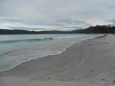 Bruny Ocean Cottage - Accommodation Port Macquarie 11