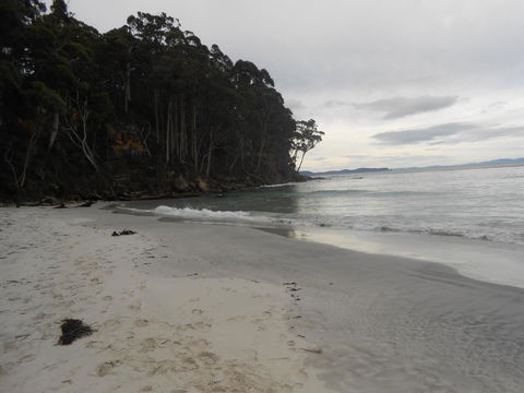 Bruny Ocean Cottage - Accommodation Port Macquarie 17