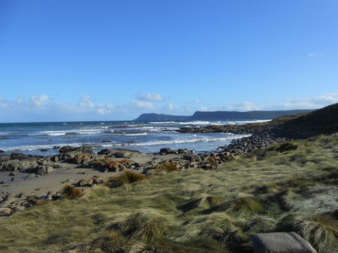 Bruny Ocean Cottage - Accommodation Port Macquarie 15