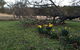 Walnut Cottage - thumb 18