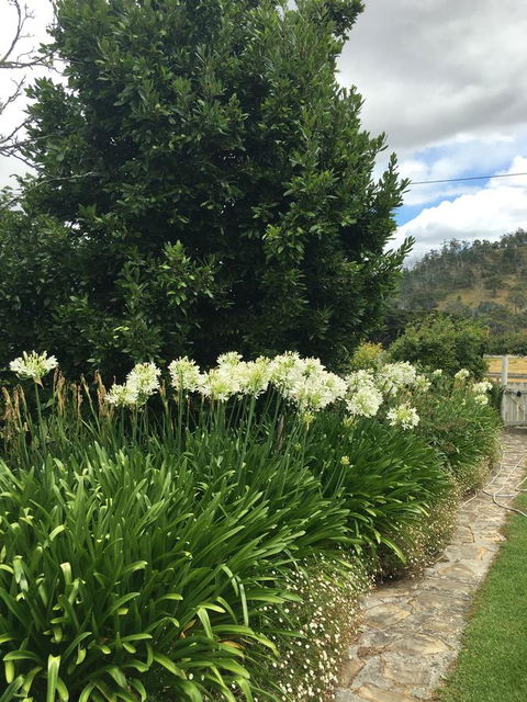 Walnut Cottage - Accommodation Port Macquarie 9