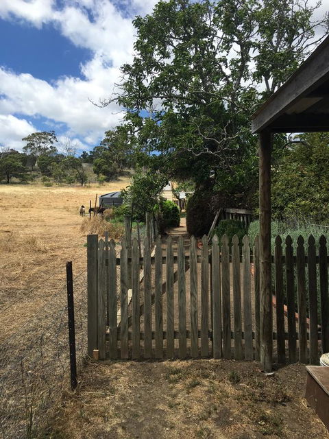 Walnut Cottage - Accommodation Port Macquarie 13