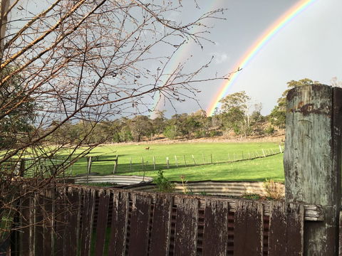 Walnut Cottage - Accommodation Port Macquarie 17
