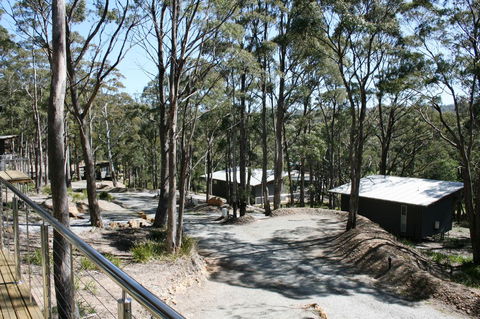 Craggy Peaks Wilderness Cabins - Accommodation Port Macquarie 22