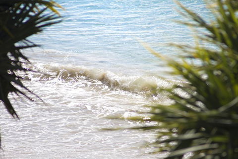 Noosa Court 6 - Accommodation Port Macquarie 2