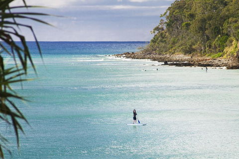 Noosa Court 6 - Accommodation Port Macquarie 1