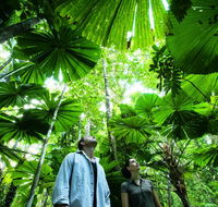 NRMA Cairns Holiday Park - Accommodation Port Macquarie
