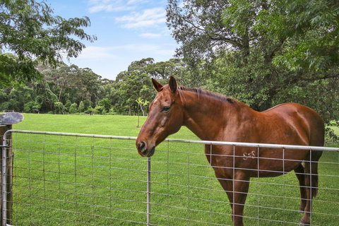 NUNGAROO COTTAGE - Accommodation Port Macquarie 3