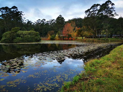 OCT Forest Lodge - Accommodation Port Macquarie 2
