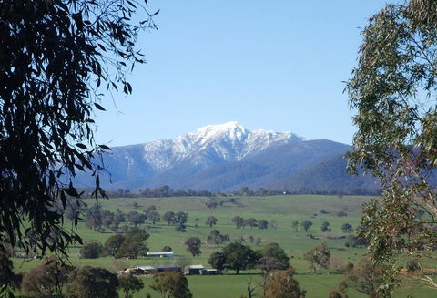 Off Mountain Accommodation - Accommodation Port Macquarie 0
