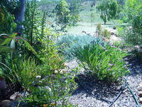 Old Miners' Cottages Bed and Breakfast