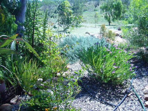 Old Miners' Cottages Bed And Breakfast - Accommodation Port Macquarie 0
