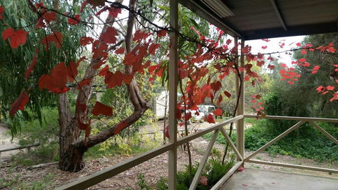 Padthaway Caravan Park - Accommodation Port Macquarie 1