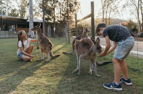 Paradise Country Farmstay - Accommodation Port Macquarie 1