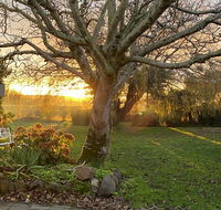 Peg Cottage - Accommodation Port Macquarie