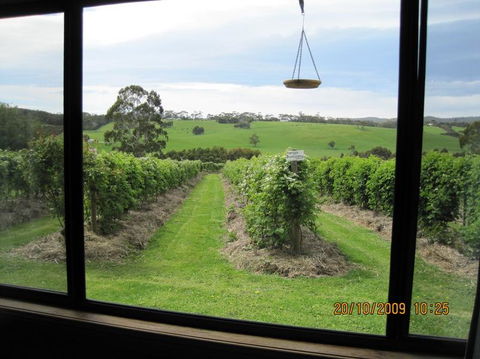 Pennyroyal Raspberry Farm & Cidery - Accommodation Port Macquarie 0