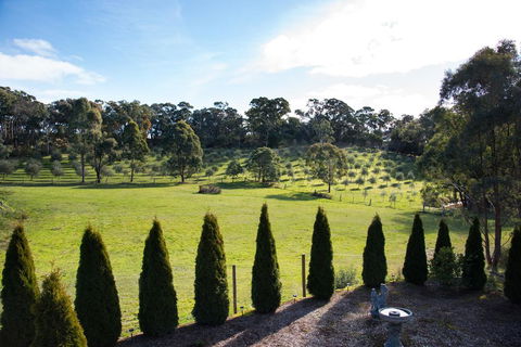 Phoenix - Accommodation Port Macquarie 3