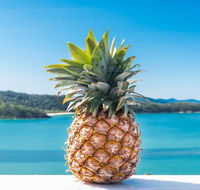 Pineapple House Whitsundays - Accommodation Port Macquarie
